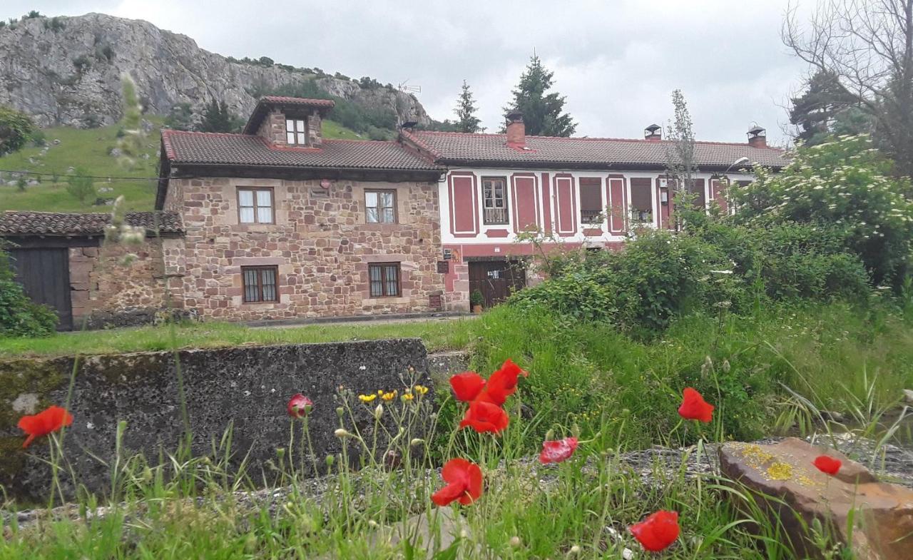 Casa Entrenidos ξενώνας Mudá Εξωτερικό φωτογραφία