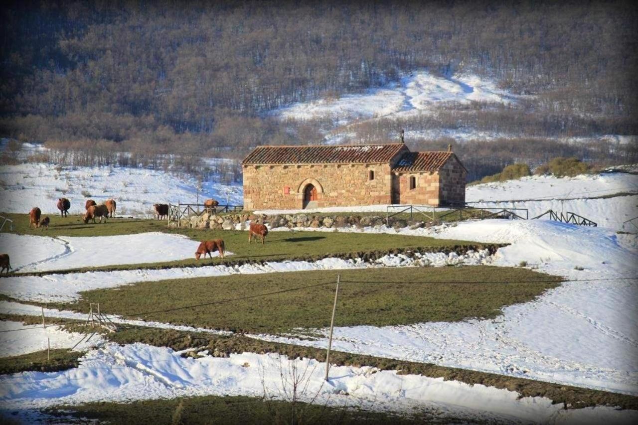 Casa Entrenidos ξενώνας Mudá Εξωτερικό φωτογραφία